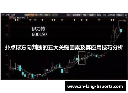 扑点球方向判断的五大关键因素及其应用技巧分析
