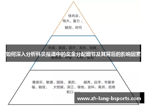 如何深入分析科贝报道中的奖金分配细节及其背后的影响因素